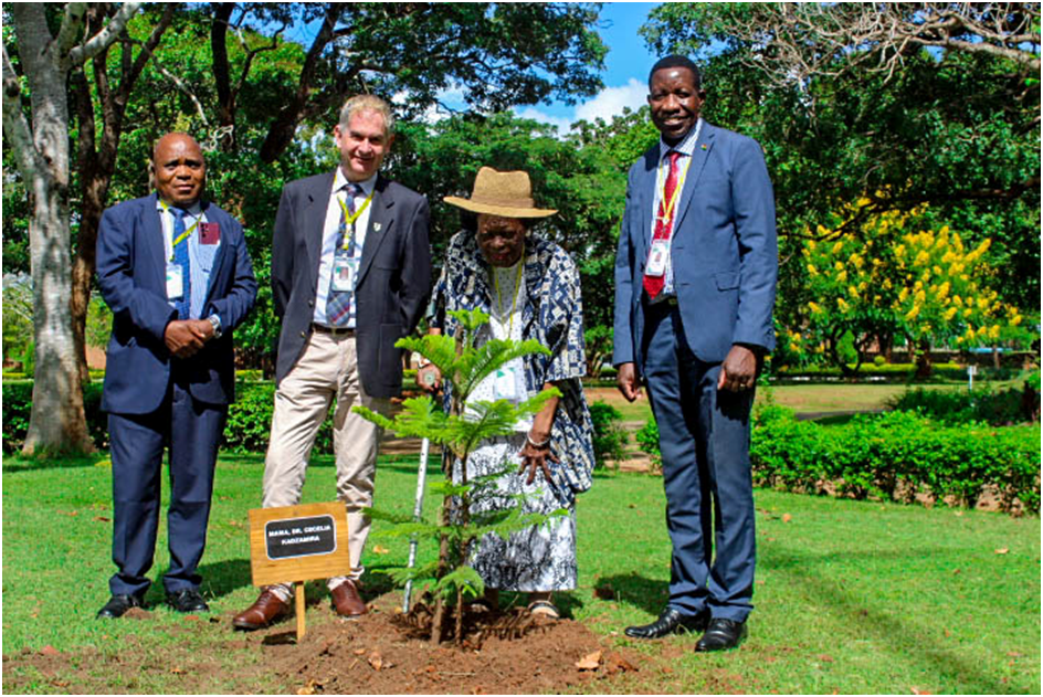 Tree Planting exercise 2025